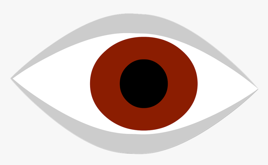 Eye, Eyes, Look, Brown, Face - Ogen Png, Transparent Png