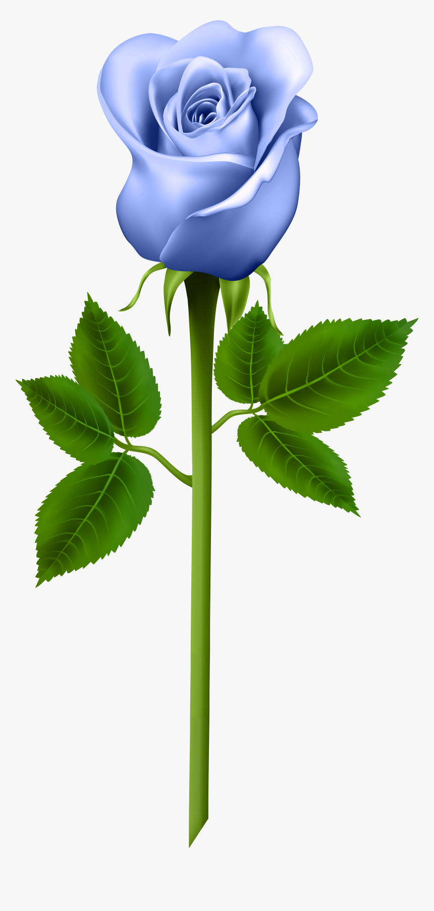 Purple Rose Clipart , Png Download - Blue Rose Png, Transparent Png