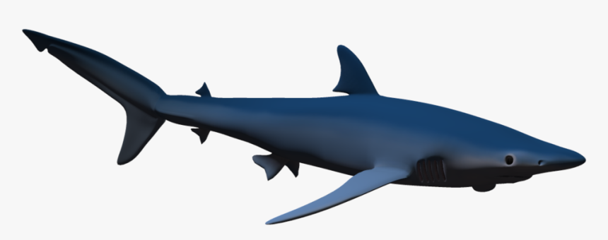 Hammerhead Shark Clip Art - 3d Shark Png, Transparent Png