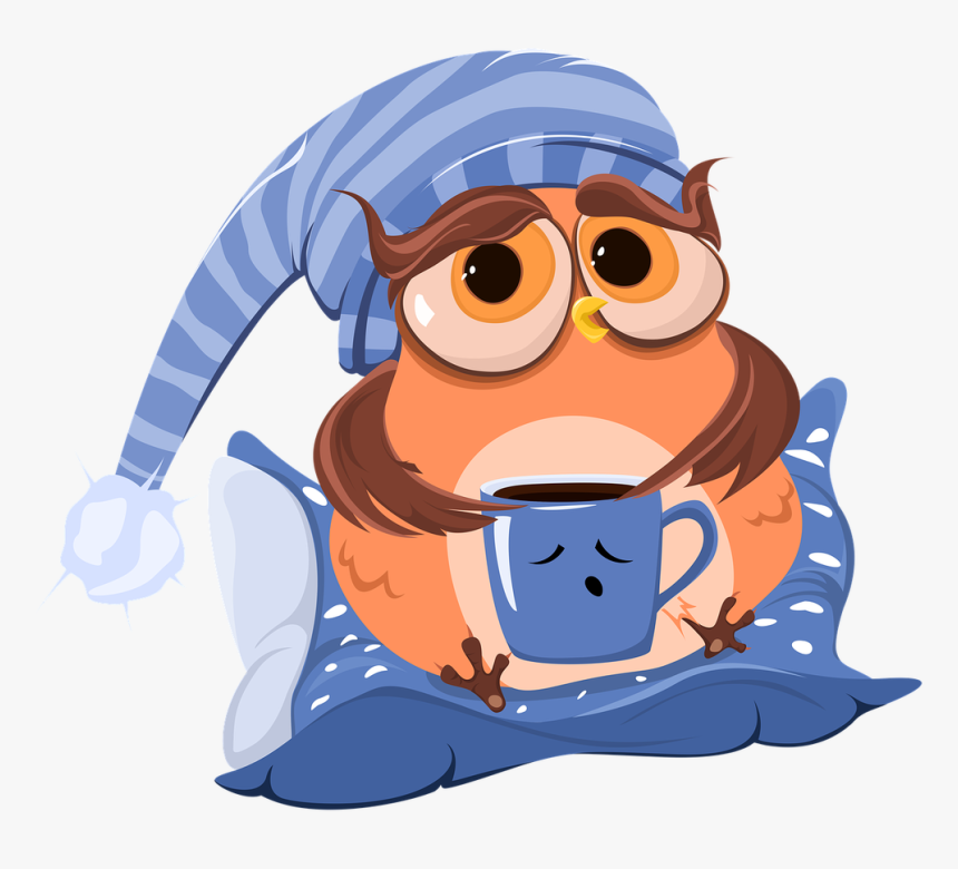 Caffeine & Anxiety - Owl With Coffee Cup Clipart, HD Png Download
