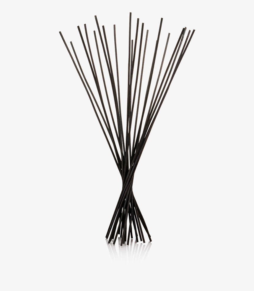 Line Art - Vase, HD Png Download