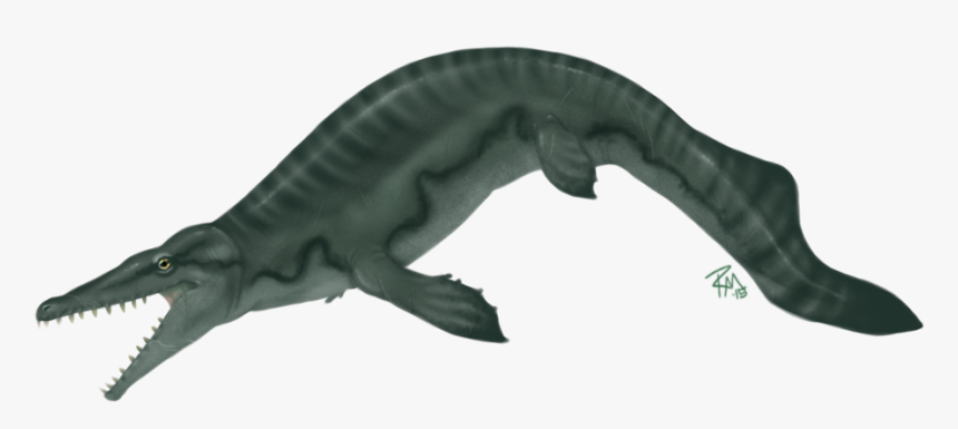 Transparent Mosasaurus Png - Png Mosasaurus, Png Download