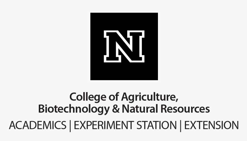 Smart Hair Extensions, HD Png Download