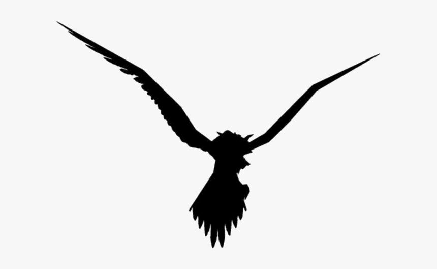 Halloween Tweety Bird Png Clipart - Golden Eagle, Transparent Png