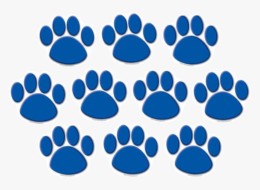 Blue Paw Prints Accents Tcr4275 Teacher Created Resources - Paw Print School Bulletin Board, HD Png Download