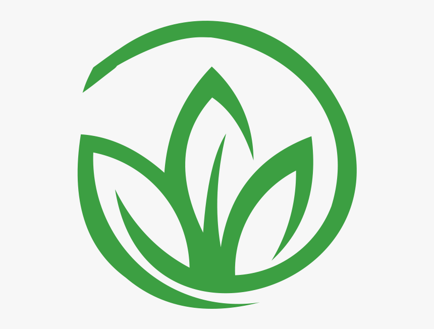 The History Of Medical Marijuana In Lauderhill - Highlife Marijuana, HD Png Download