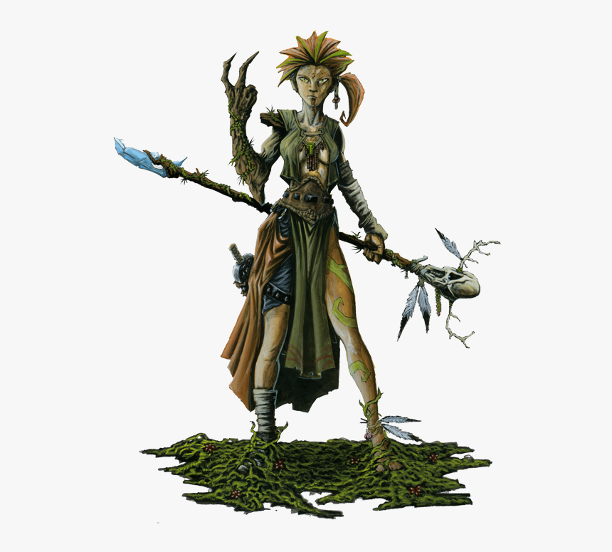 Elf Druid Transparent Background, HD Png Download