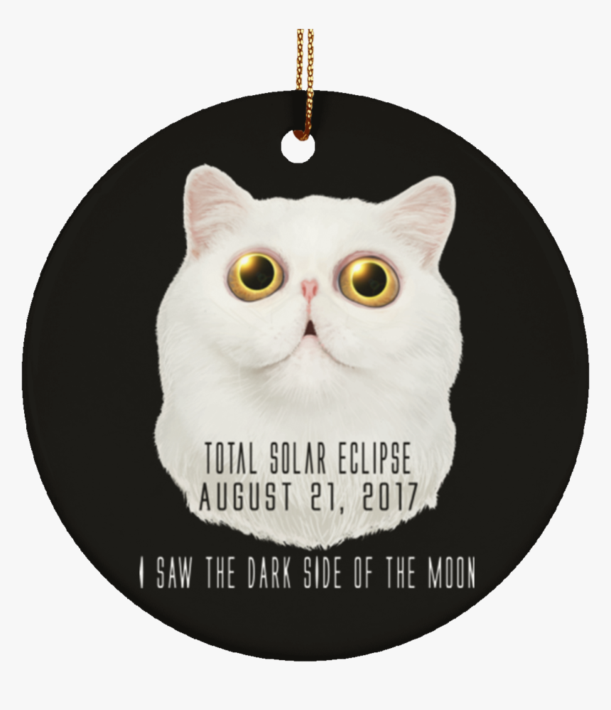 British Shorthair, HD Png Download