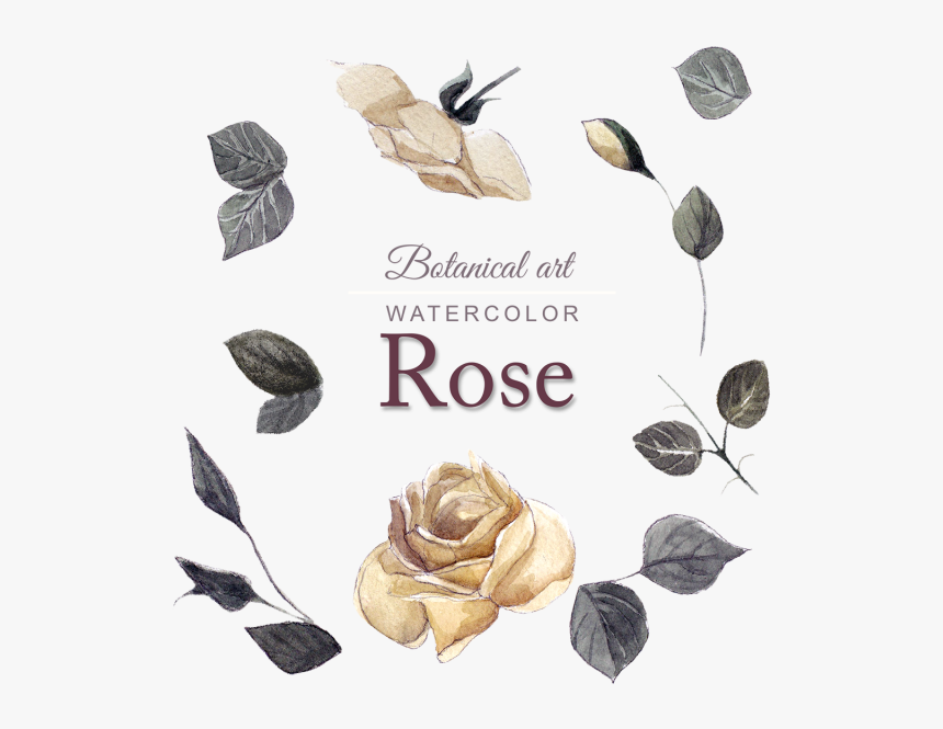 Acuarela Rose Design - Garden Roses, HD Png Download