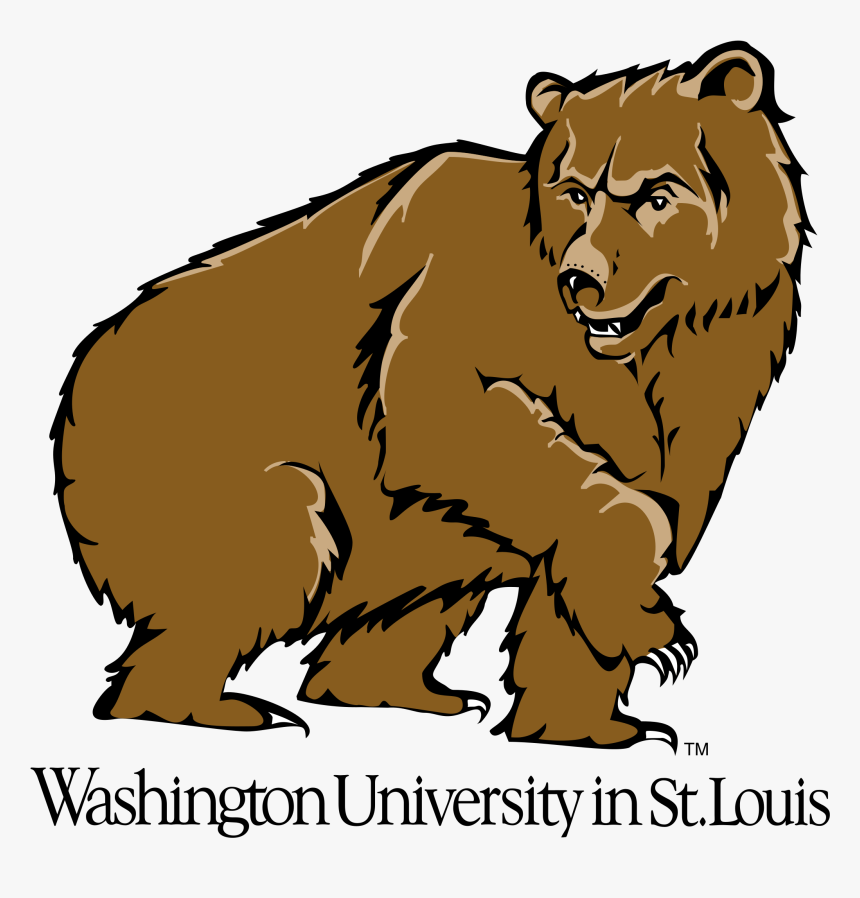 Washington University In St Louis, HD Png Download