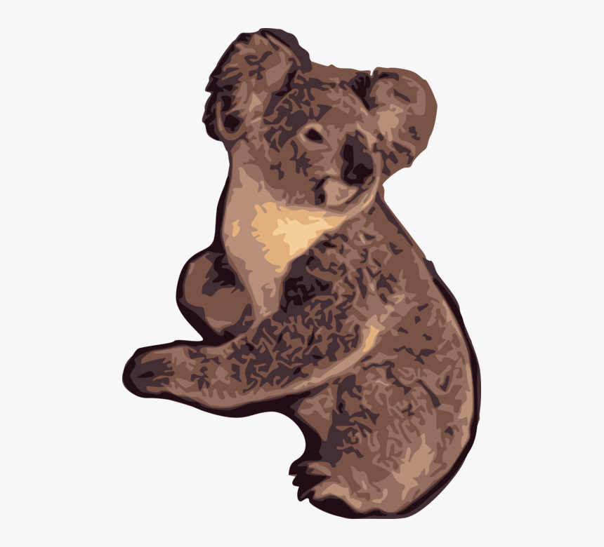 Vector Illustration Of Australian Arboreal Herbivorous - Illustration, HD Png Download