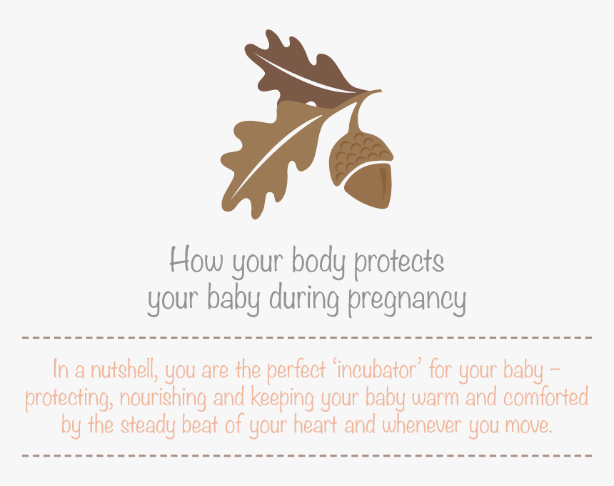 Transparent Baby In Womb Png - Let My Soul Smile Through My Heart At I May Scatter, Png Download