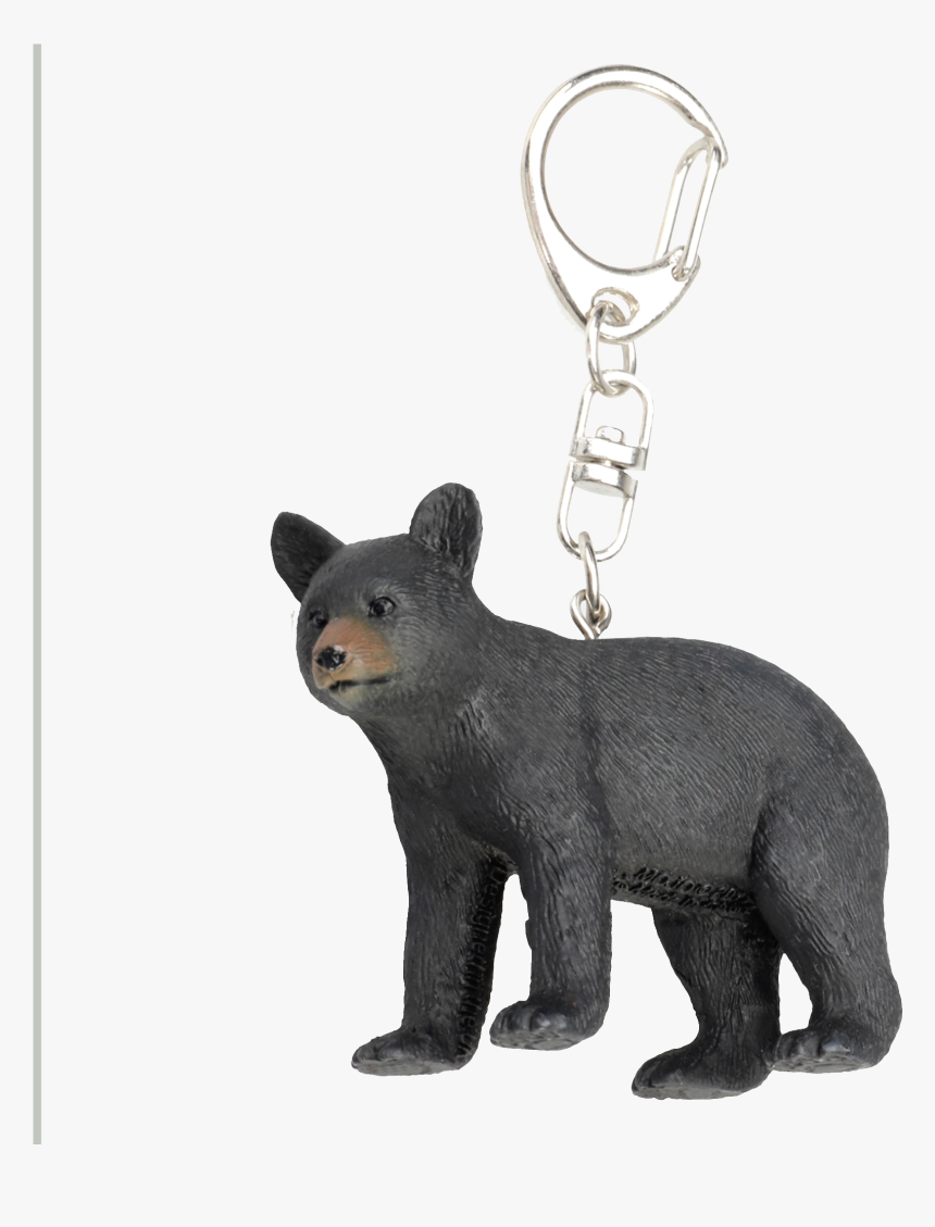 Keychains & Accessories - American Black Bear, HD Png Download