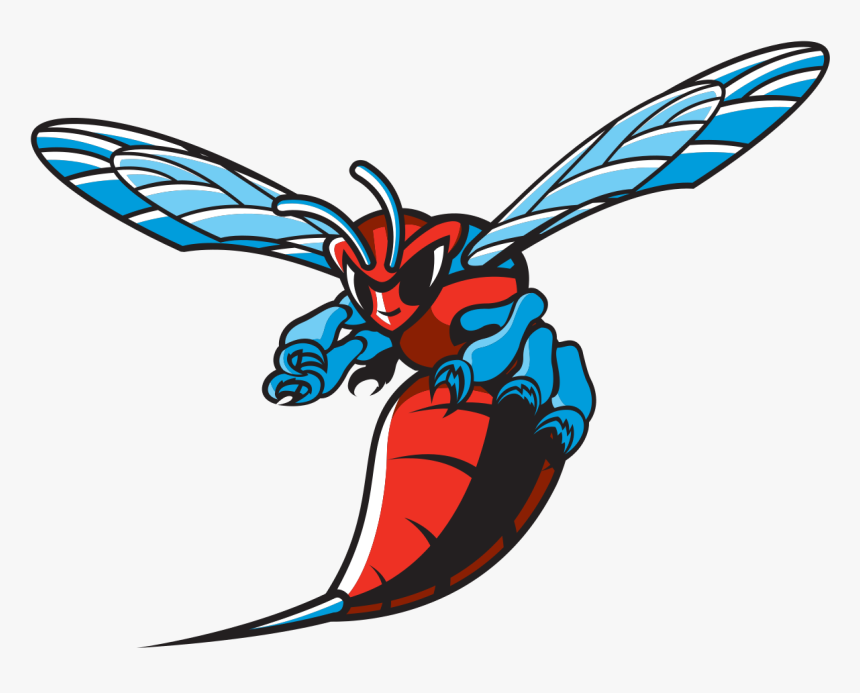 Delaware State University Hornet Logo, HD Png Download