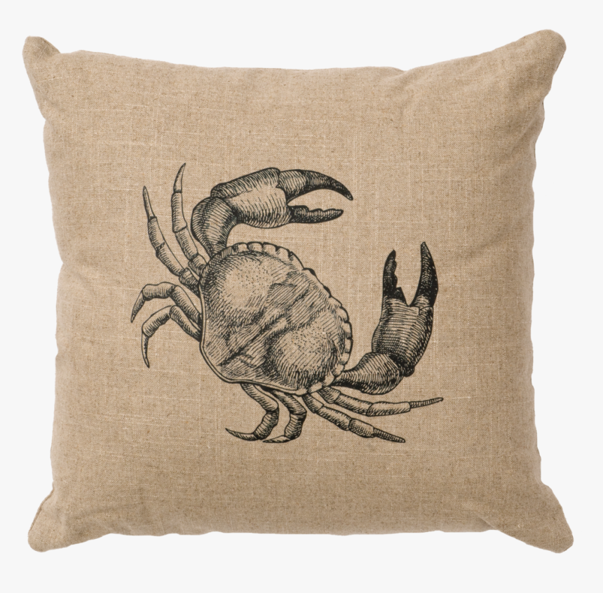 Wd80053-n - You Found Albert The Unfindable Crab, HD Png Download