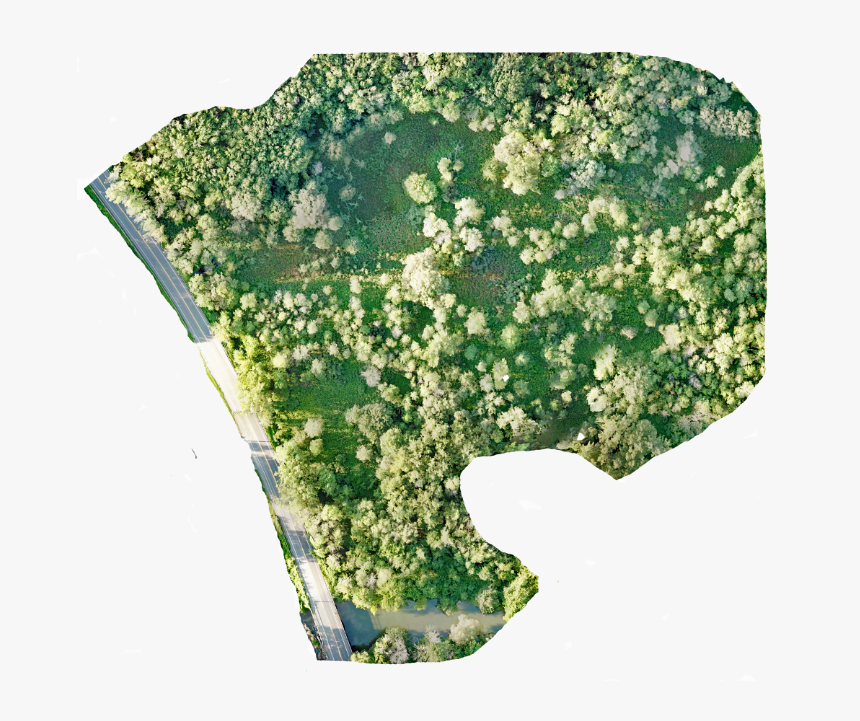 Image - Atlas, HD Png Download