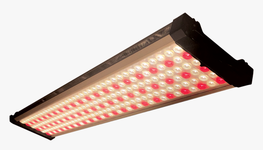 Light, HD Png Download