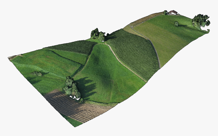 Point Set Example - Grass, HD Png Download