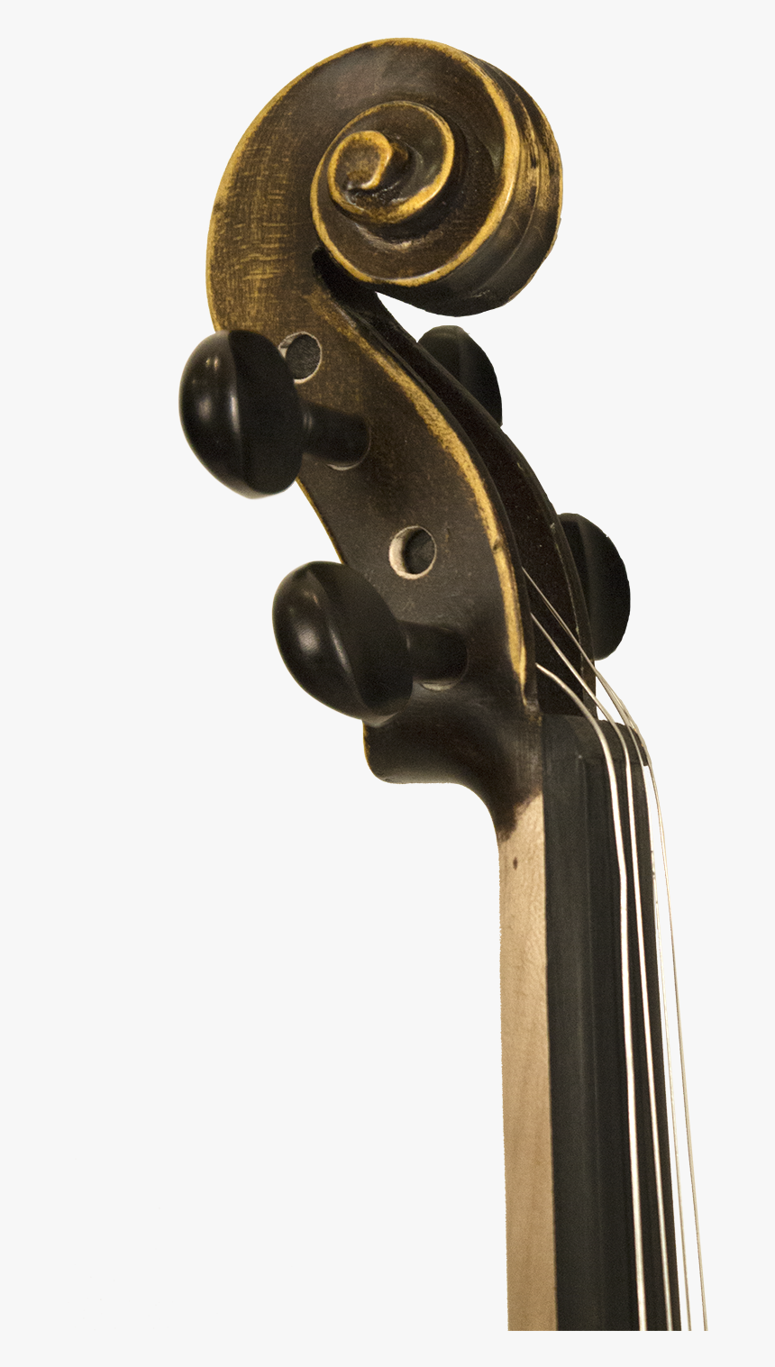 Double Bass, HD Png Download