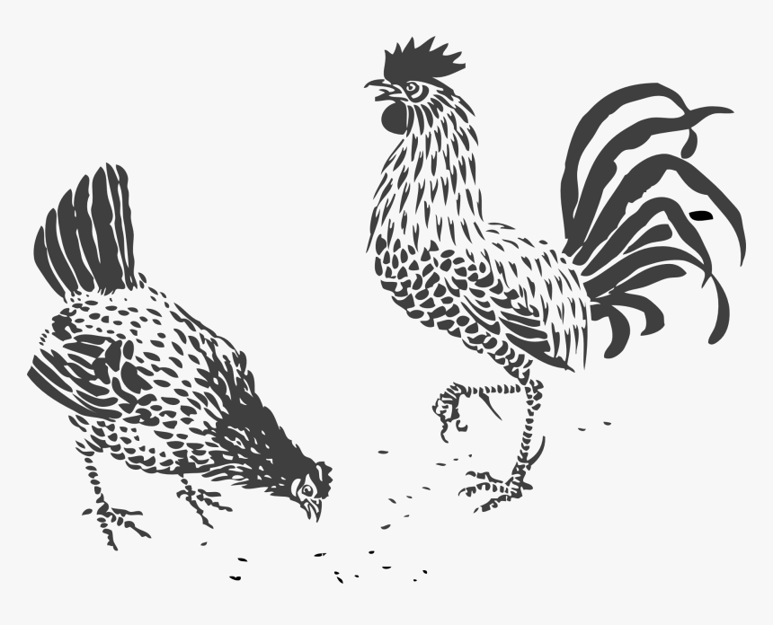 Transparent Rooster Drawing - Black And White Chicken Designs, HD Png Download