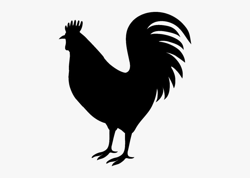 Rooster Drawing Png Transparent Images - Rooster Png, Png Download