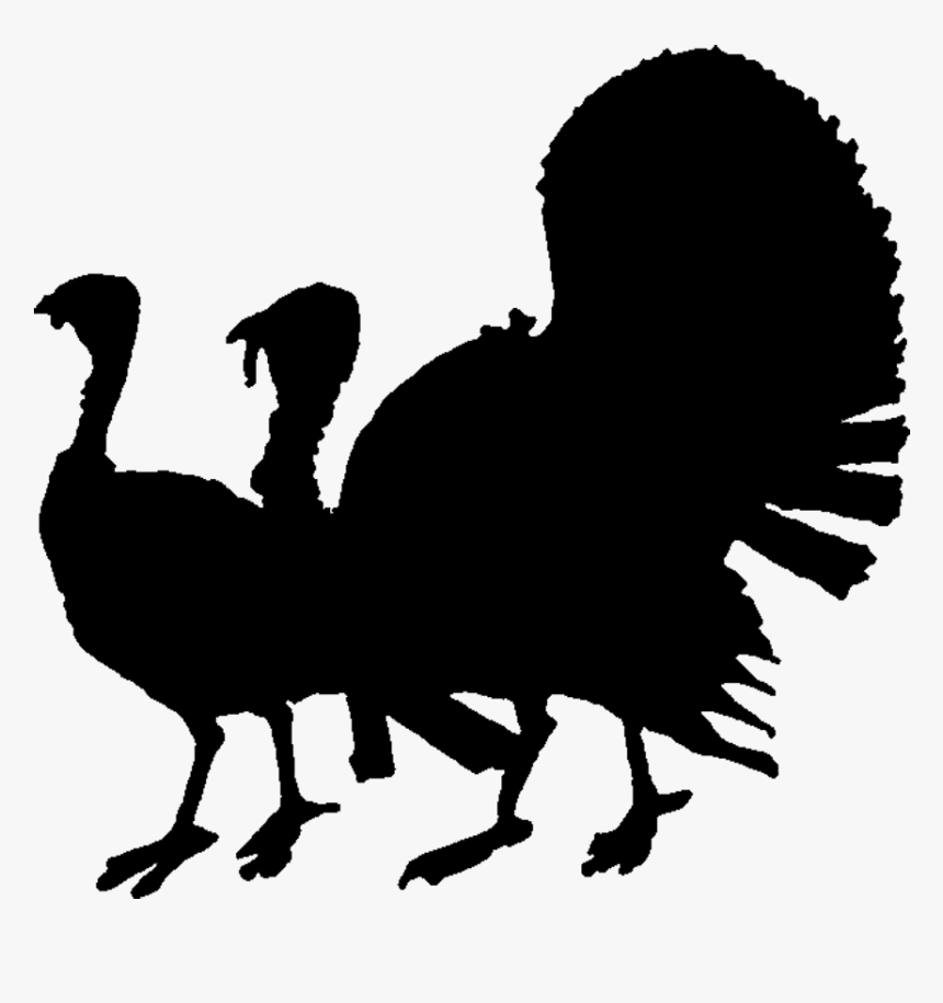 Bird,flightless - Turkey Silhouette, HD Png Download