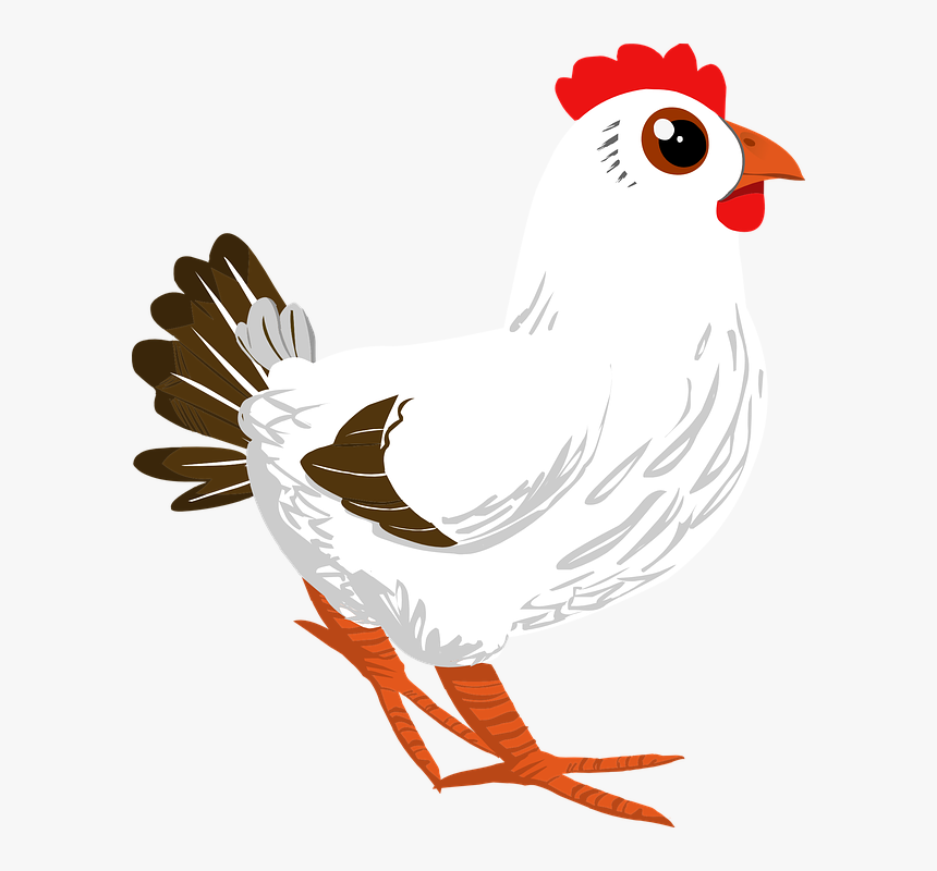 Rooster, Cock, Poultry, Cockerel, Chicken, Animal, - Chicken Png Cartoon, Transparent Png