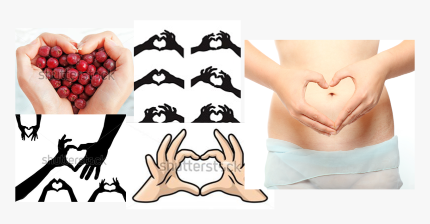 Hand Clip Cupped - Illustration, HD Png Download