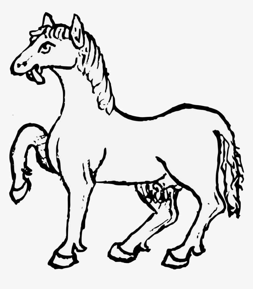 Details, Png - Mane - Mane, Transparent Png