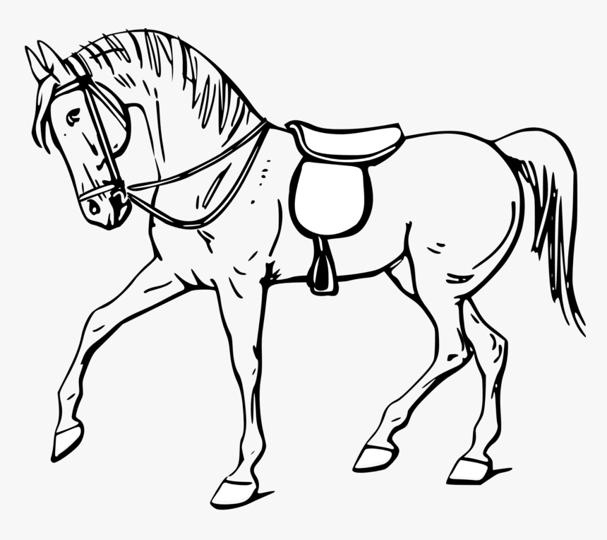 Horse Clipart Black And White - Outline Pictures Of Horse, HD Png Download