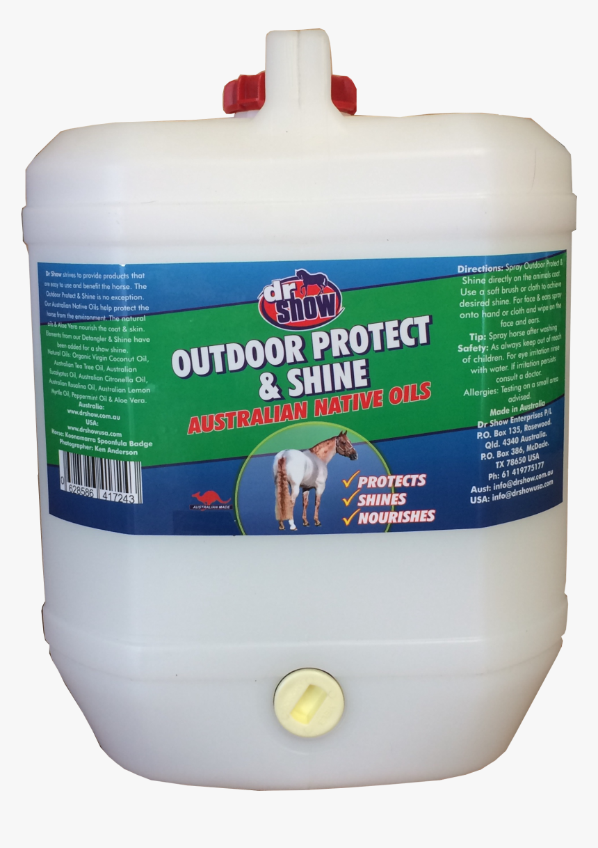 Rat, HD Png Download