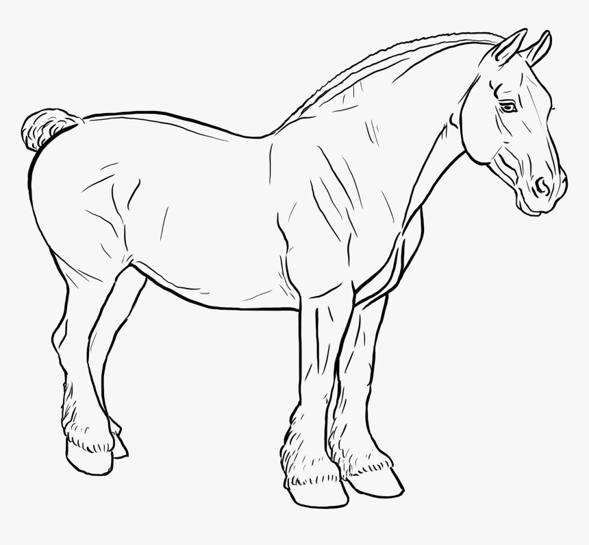 Mane, HD Png Download