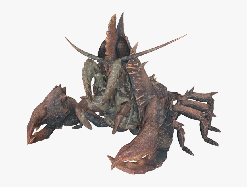 Fallout 76 Mirelurk Hunter Locations, HD Png Download