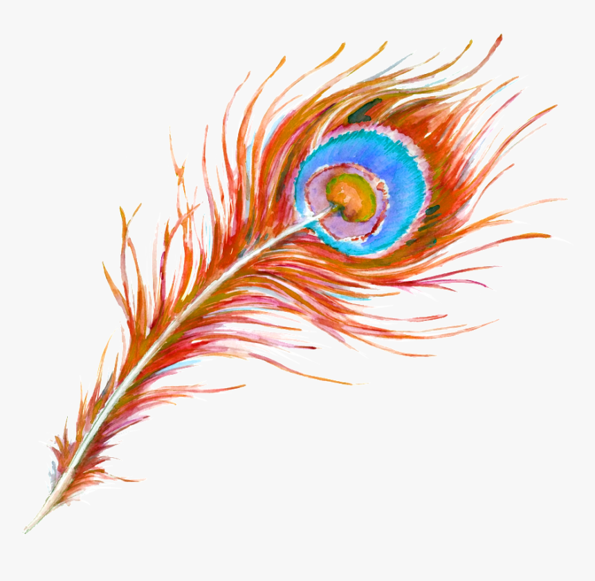 Beautiful Hand Painted Peacock Feathers Hd Png - Janmashtami Vector Images Png, Transparent Png