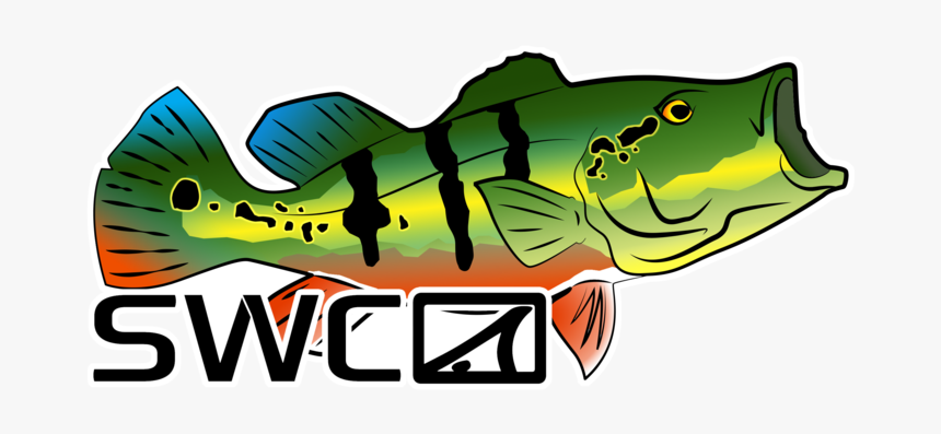 Cichla, HD Png Download