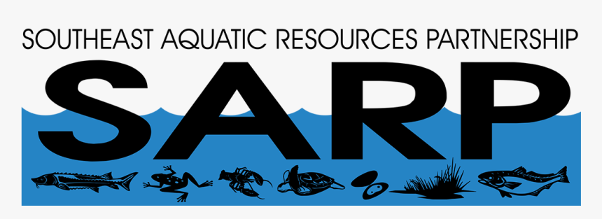 Southeast Aquatic Resources Partnership - Graphics, HD Png Download