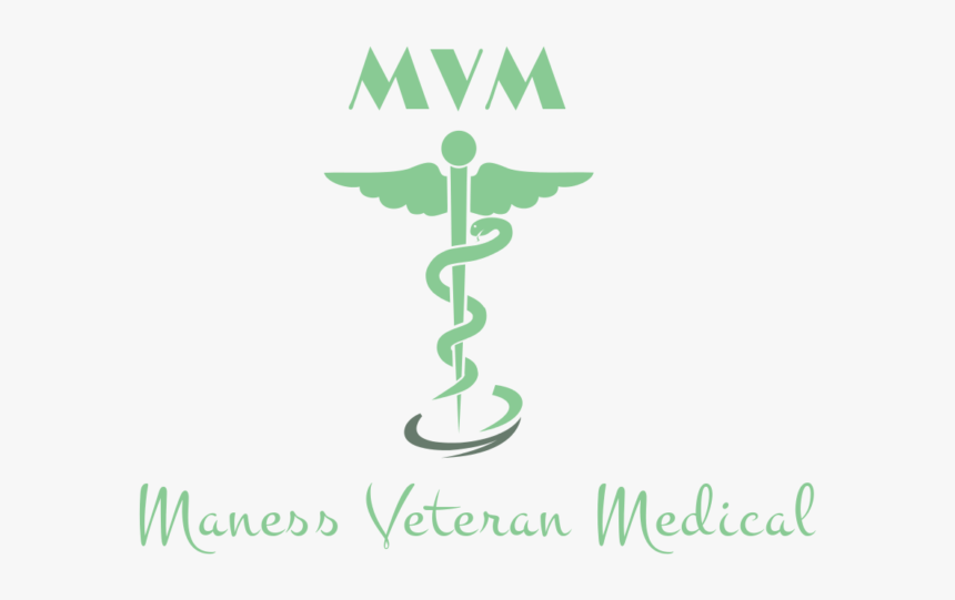 Medical Symbol, HD Png Download