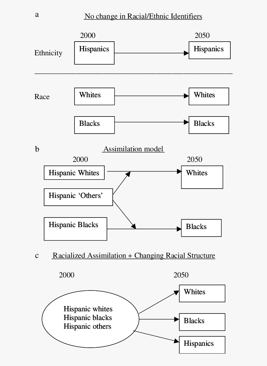 Document, HD Png Download