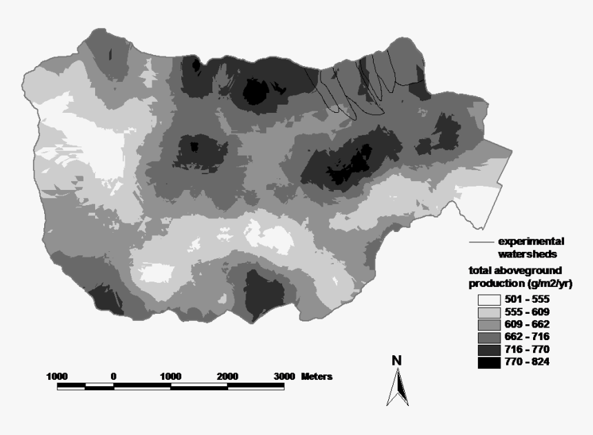 Forestbiofig3 - Pattern, HD Png Download