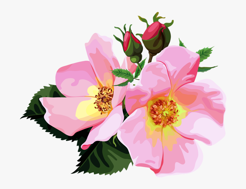 Flower Backgrounds Png, Transparent Png