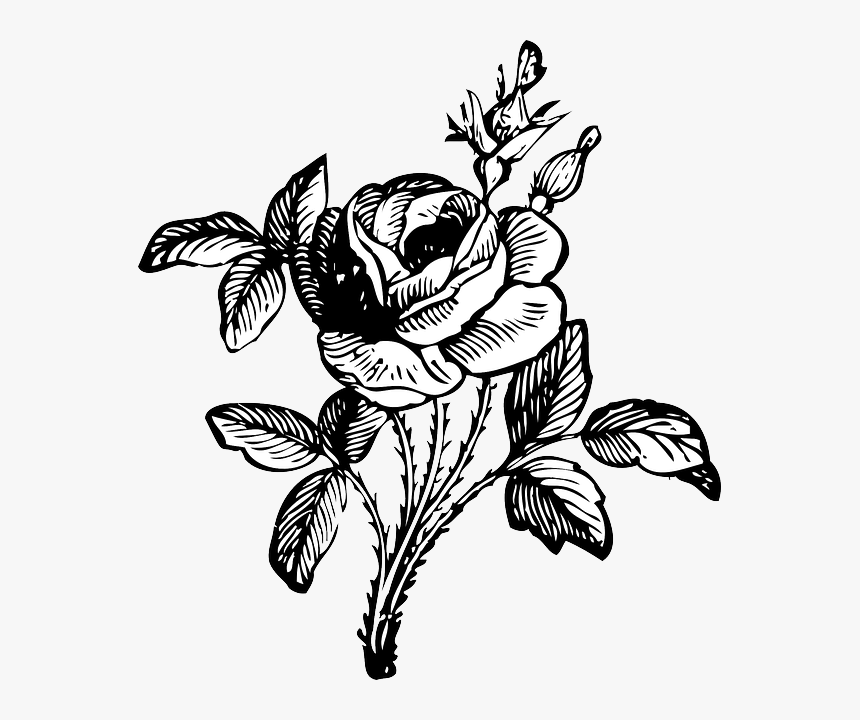 Black And White Flower Png, Transparent Png
