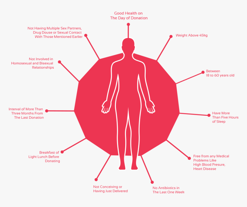 Donate Blood And Have More Blood Relationships , Png - Donate Blood And Have More Blood Relationship, Transparent Png