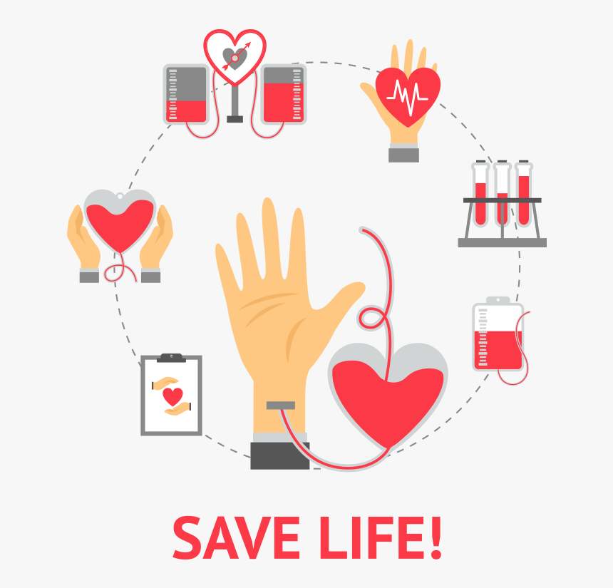 Vector Freeuse Library Organ Web Portal Bowp - Transparent Blood Donation Png, Png Download