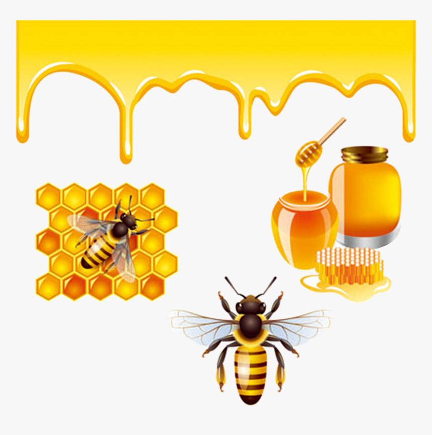 Transparent Honeybee Png - Honey Bees Bee Png, Png Download