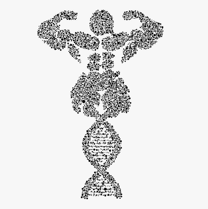 Bodybuilder Dna Circles - Line Art, HD Png Download