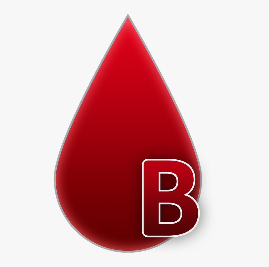 Blood Group B Blood Free Photo - Grupo B Sanguineo, HD Png Download