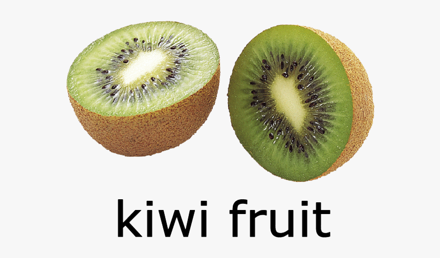 Kiwi Fruit - Kiwi Clipart, HD Png Download