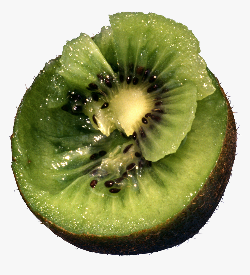 Kiwifruit,green,hardy - Kiwifruit Tree In Png, Transparent Png