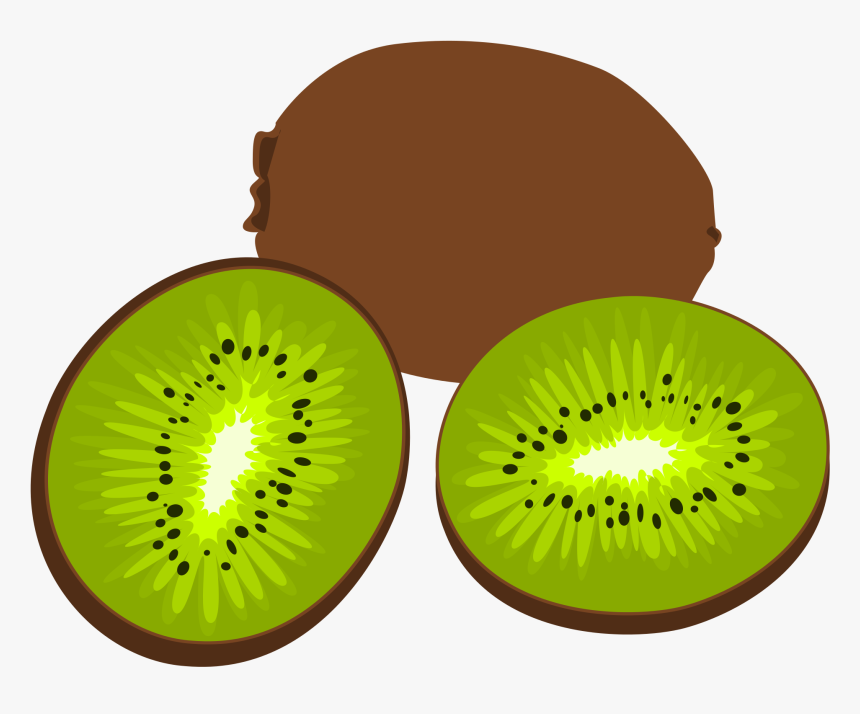 Vector Black And White Download Kiwi Clipart Fruit - Kiwi Svg, HD Png Download