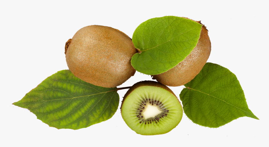 Kiwifruit, HD Png Download